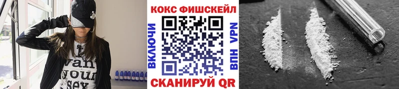купить закладку  Тарко-Сале  Cocaine Эквадор 